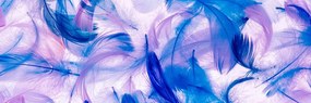 Stampa su tela – Piume meravigliose