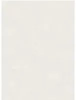 Boråstapeter Carta da parati Shades - Alabaster