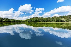 Fotomurale – Natura in estate