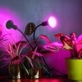 Lampada da tavolo flessibile con clip per piante PLANTY 2xE27/30W/230V nera