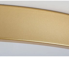 Rabalux 71038 -LED Plafoniera dimmerabile TESIA LED/60W/230V 3000-6000K+telecomando