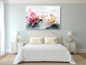 Stampa su tela – Due fiori colorati di orchidea