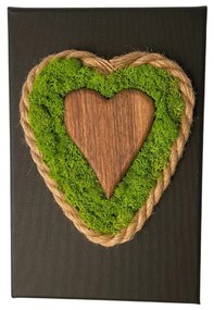 Quadro di muschio con cuore di legno e corda 20 x 30 cm