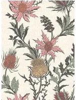 Distel Tapete Thistle von Cole and Son - Pink and White