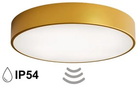 Plafoniera da bagno con sensore CLEO 4xE27/24W/230V Ø 50 cm IP54 dorata