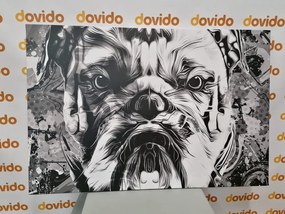 Stampa su tela – Bulldog in bianco e nero