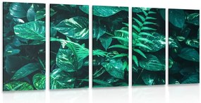 Quadri 5 pezzi – Foglie tropicali fresche