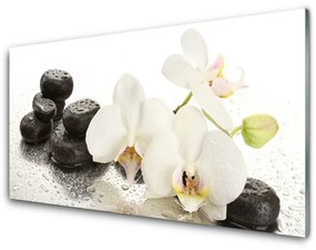 Rivestimento parete cucina Pianta di pietre di fiori 100x50 cm