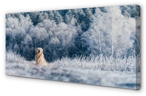 Quadro su tela Dog Mountain Winter 100x50 cm