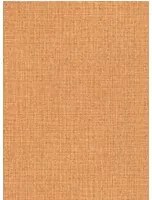Arte International Carta da parati Nongo - Amber