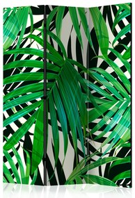 Paravento Foglie tropicali - foglie di palma su sfondo grigio