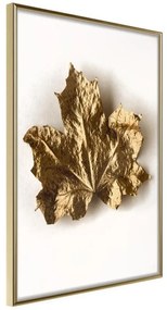 Poster  Dried Maple Leaf  Cornice Quadri Cornice d'oro, Larghezza x Altezza Home decor 40x60