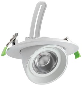 Faro LED da Incasso 44W Foro Ø160mm con driver Philips- Per Carni Colore Rosa Alimentare