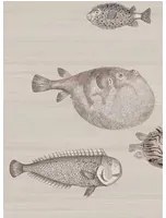 Cole & Son Carta da parati Acquario - Softbeige