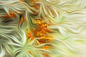 Stampa su tela – Olivello spinoso