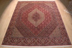 Bidjar Tappeto persiano 300x250 (Iran) Annodato A Mano