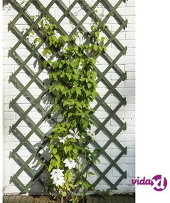 Nature Traliccio da Giardino 50x150 cm in Legno Verde