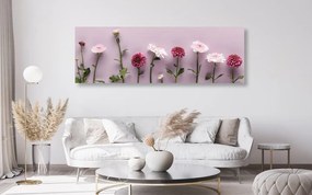 Stampa su tela – Composizione di crisantemi rosa
