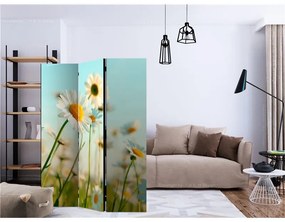 Paravento Daisies spring meadow [Room Dividers]