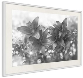 Poster  Dark Lillies  Cornice Quadri Cornice nera con pass-partout, Larghezza x Altezza Home decor 90x60