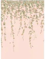 Cole & Son Carta da parati Hummingbirds Flora - Tangerine/ Olive on Blush