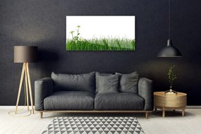 Quadro in vetro Erba Natura Pianta 100x50 cm