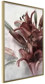 Poster  Burgundy Solace  Cornice Quadri Cornice d'oro, Larghezza x Altezza Home decor 20x30