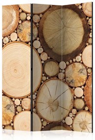 Paravento separè Strati di Legno (3-parti) - composizione di legno marrone