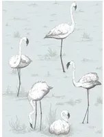 Flamingos - Designtapete von Cole and Son - Aqua