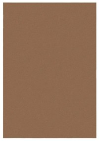 Tappeto marrone cognac 200x290 cm - Flair Rugs