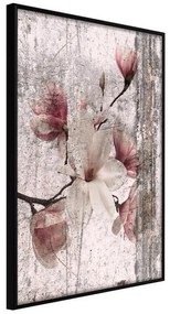 Poster  Queen of Spring Flowers I  Cornice Quadri Cornice nera, Larghezza x Altezza Home decor 20x30