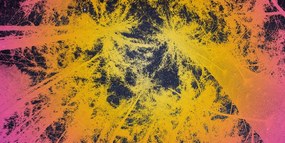 Quadro su tela – Tramonto nella foresta tropicale