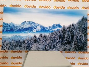Quadro su tela – Montagne congelate