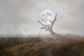 Carta da parati autoadesiva – Luna tra le braccia della natura