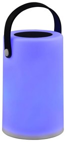 Apparecchio solare a LED per esterni (altezza 21 cm) Garcia - Trio