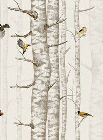 Coordonne Carta da parati Birch Trees - Beige