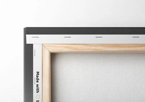 Quadro su tela – Magnifica cima di montagna in bianco e nero