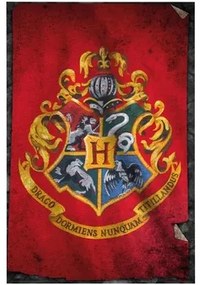 Harry Potter  Poster TA356  Harry Potter