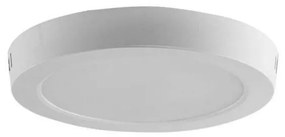 Plafoniera LED LED/6W/230V 4000K diametro 12 cm bianco