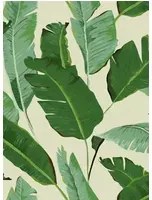 Mindthegap Carta da parati Banana Leaves - WP20111