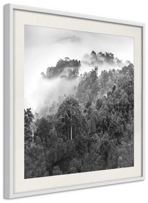 Poster  Foggy Forest  Cornice Quadri Cornice nera con pass-partout, Larghezza x Altezza Home decor 50x50