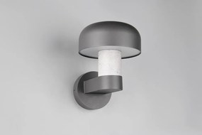 Illuminazione esterna da parete (altezza totale 24,5 cm) Fraser – Trio