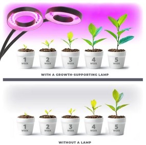 Lampada da tavolo LED Stm flex con clip per piante VITARO 2xLED/4W/230V nera