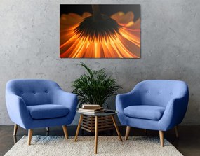 Stampa su tela – Gerbera su sfondo scuro