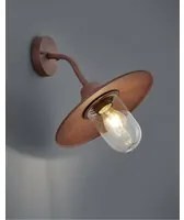 Applique 1xE27 Brenta Ruggine Diffusore Vetro IP44 Trio Lighting