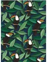 studio ditte Carta da parati Toucan - Toucan