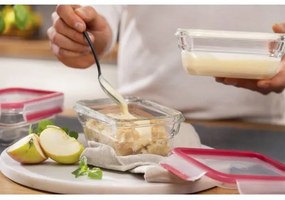 Tefal - Contenitore per alimenti 0,45 l MSEAL GLASS rosso/vetro