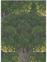 Mindthegap Carta da parati Savage Leaves - WP20466