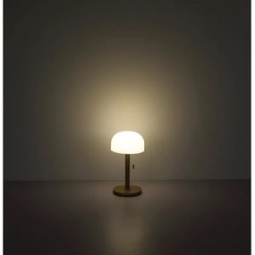 Globo 21016CH - Lampada da tavolo LED NORMAN LED/1,5W/3,7V 3000/4200/6000K marrone