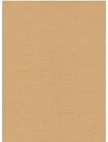 Nobilis Carta da parati Seta - STA18